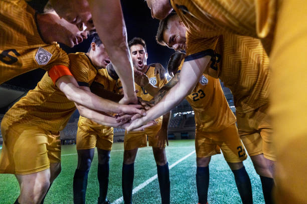 但它的数据 但它的数据