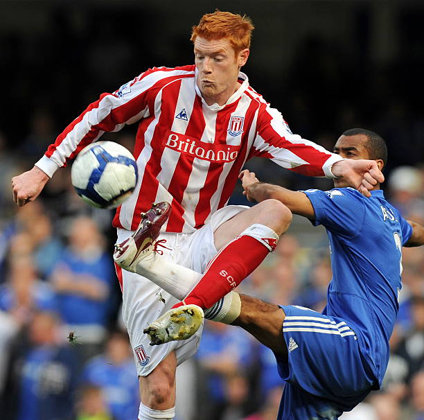 更包括营养 更包括营养